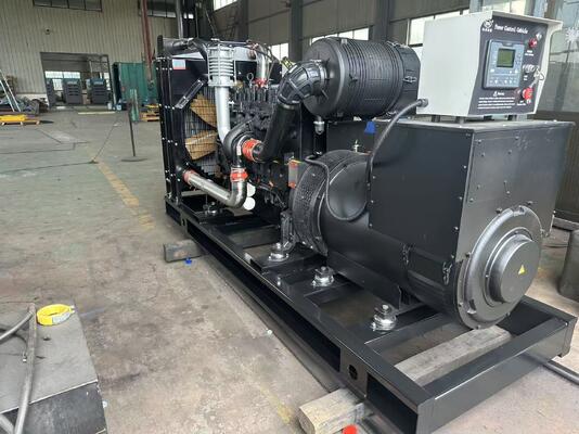 ژنراتور دیزل 300KW/375KVA خاموش و باز